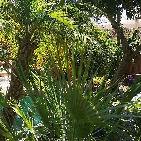 Costa Tropical Oasis Apartment