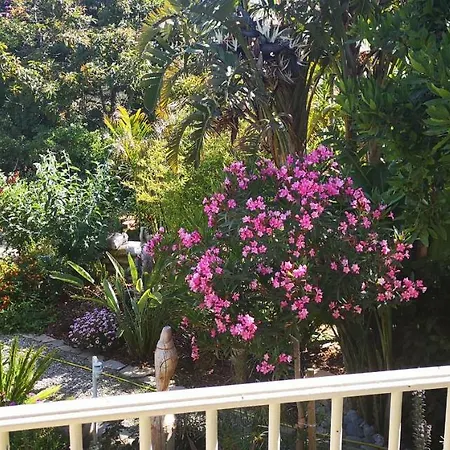 Costa Tropical Oasis Apartment *