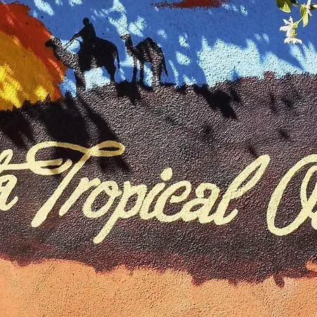 Costa Tropical Oasis
