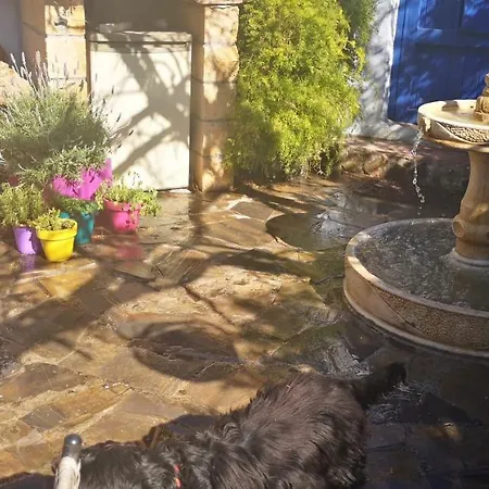 Costa Tropical Oasis